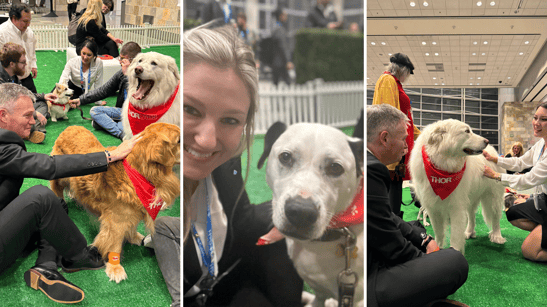 Untitled design (23)